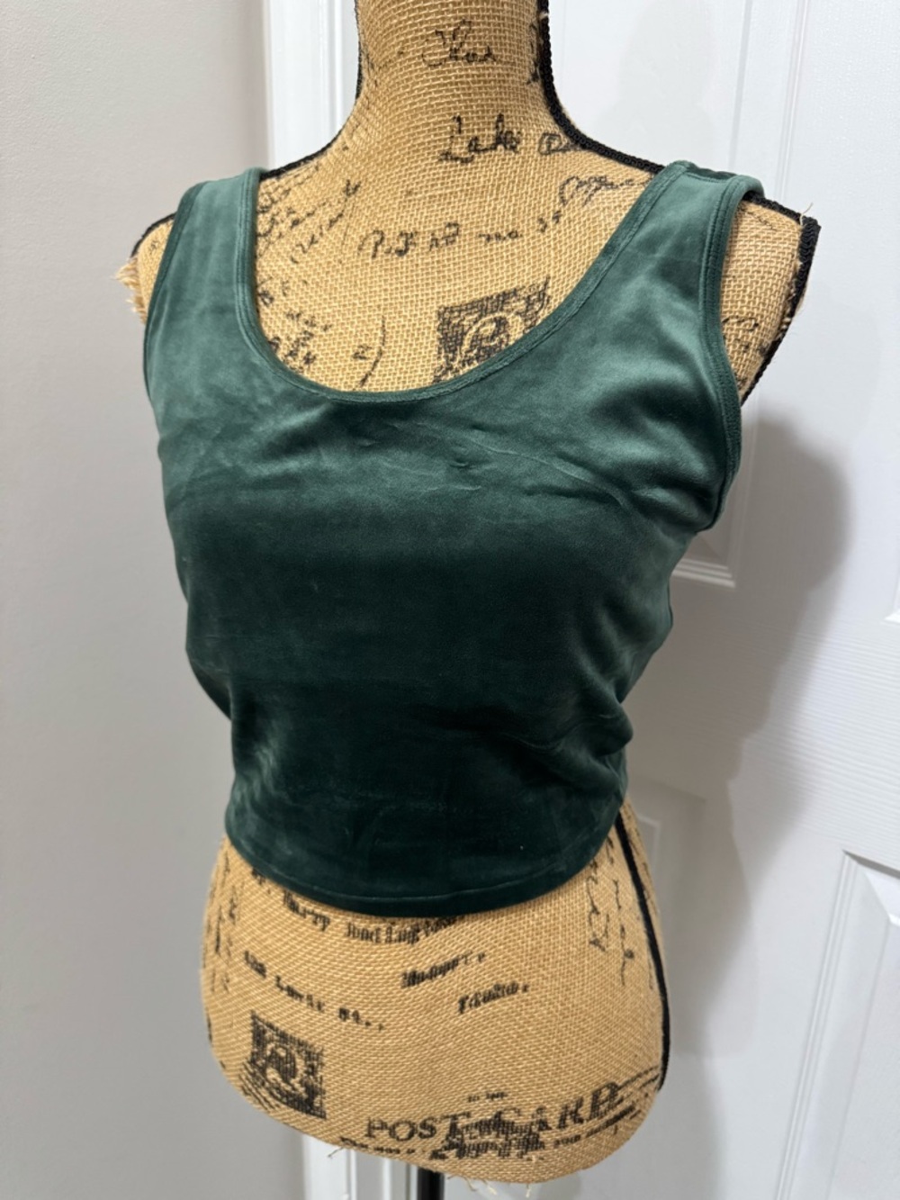 Aerie Velvet Cropped Tank (runs small)